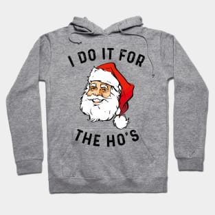 I Do It For The Ho's Hoodie